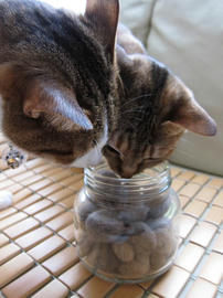 IMG02329.jpg