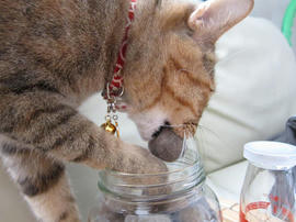IMG02331.jpg