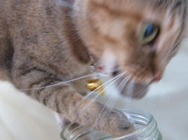 IMG02332.jpg