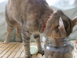 IMG02333.jpg
