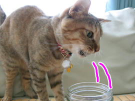 IMG02334.jpg