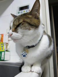 IMG02338.jpg