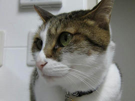 IMG02339.jpg