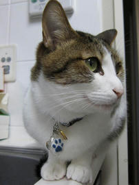 IMG02340.jpg