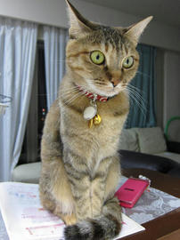 IMG02341.jpg