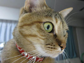 IMG02342.jpg