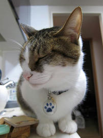 IMG02348.jpg