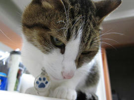 IMG02350.jpg