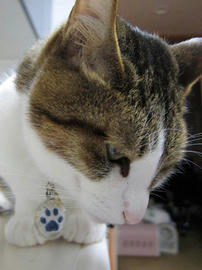 IMG02349.jpg
