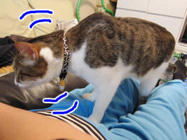 IMG02355.jpg