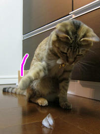 IMG02357.jpg