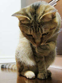 IMG02358.jpg