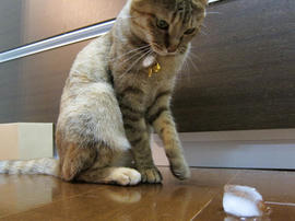 IMG02359.jpg