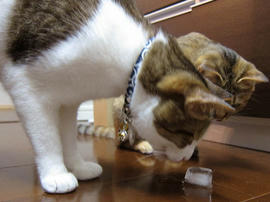 IMG02360.jpg