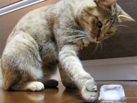 IMG02361.jpg