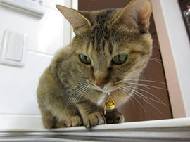 IMG02362.jpg