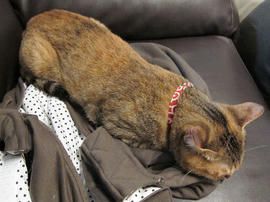 IMG02365.jpg