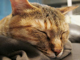 IMG02366.jpg