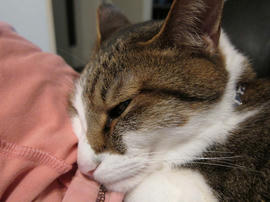 IMG02368.jpg
