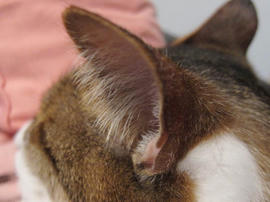 IMG02370.jpg
