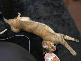 IMG02372.jpg