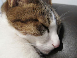IMG02374.jpg
