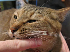 IMG02376.jpg