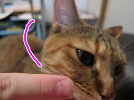 IMG02377.jpg
