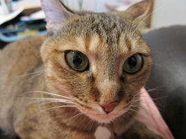 IMG02378.jpg