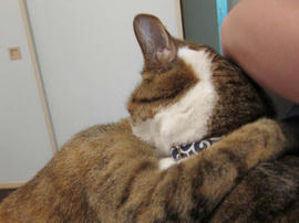 IMG02381.jpg