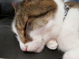 IMG02384.jpg