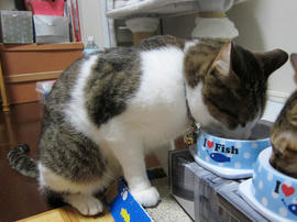 IMG02387.jpg