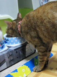 IMG02388.jpg