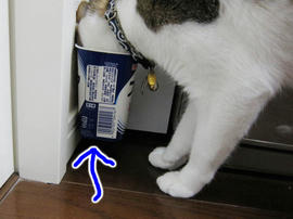 IMG02389.jpg