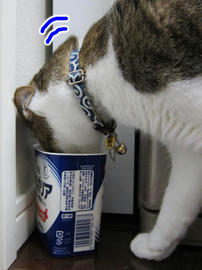 IMG02390.jpg