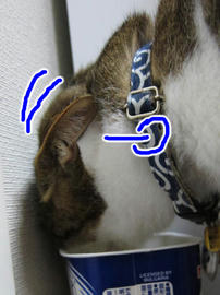 IMG02391.jpg