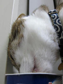IMG02392.jpg