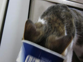 IMG02393.jpg