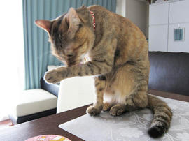 IMG02395.jpg
