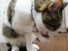 IMG02397.jpg