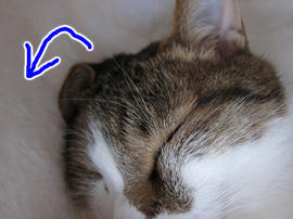 IMG02405.jpg