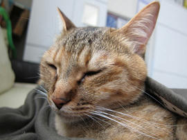 IMG02409.jpg