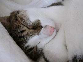 IMG02413.jpg