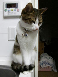 IMG02415.jpg