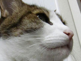 IMG02416.jpg