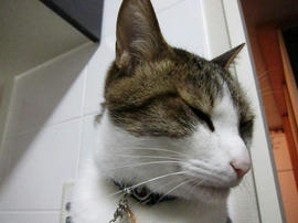 IMG02417.jpg