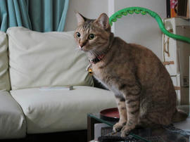 IMG02422.jpg