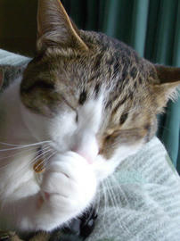 IMGP11366.jpg