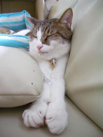 IMGP13947.jpg