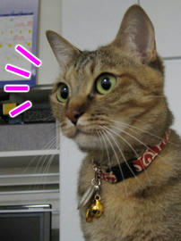 IMG02424.jpg